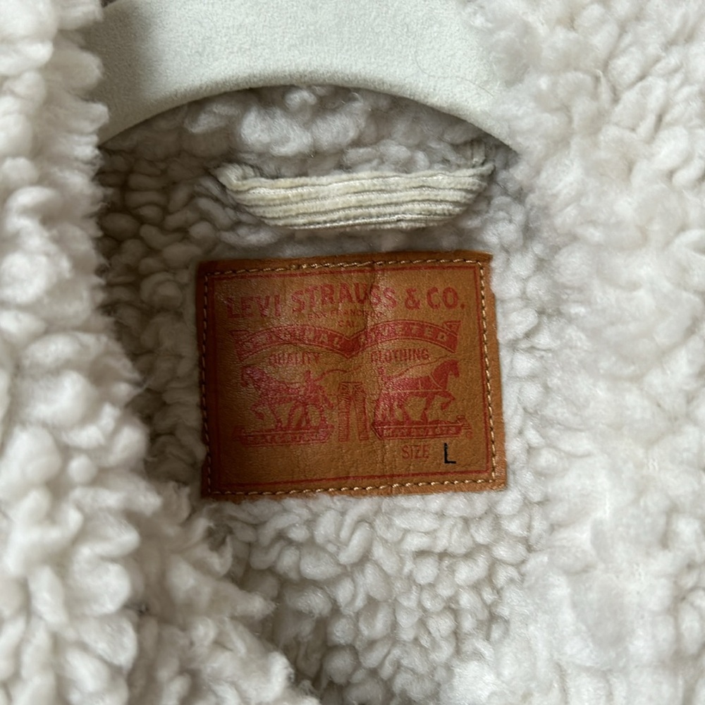 Levi Corduroy Trucker Jacket - Picture 3 of 5